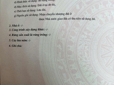 Lô biệt thự tuyến 2 Thanh Niên, Ngọc Xuyên, Đồ Sơn, Hải Phòng 170m. 3