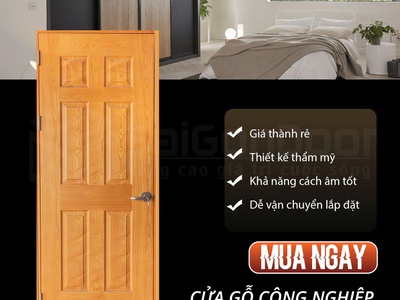Cửa gỗ công nghiệp HDF   Đẹp Nhà, Nhẹ Ví 2