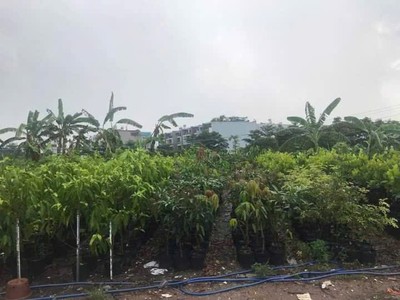 0.9ha đất đầu tư gd view sông   phan huy ích gò vấp s 0