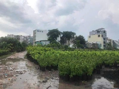 0.9ha đất đầu tư gd view sông   phan huy ích gò vấp s 2