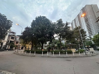 Bán biệt thự c37 tố hữu, 145-165m2, 4 tầng, view vườn hoa đẹp 2
