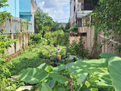 Đất mặt tiền đường tân hiệp 08, sát mặt tiền đường dương công khi. vị trí đắc địa kinh doanh sầm 0
