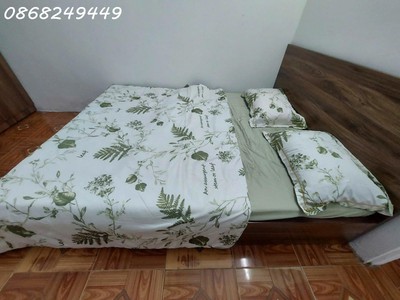 Bán nhà cấp 4 sau đại học sư phạm, kiệt 119 phạm như xương, giá chỉ hơn 2 tỷ 2