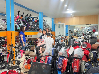 Xe điện bluera Việt Nhật 0
