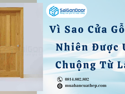 Vì Sao Cửa Gỗ Tự Nhiên Được Ưa Chuộng Từ Lâu 0
