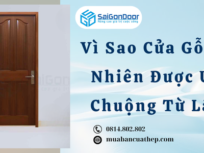 Vì Sao Cửa Gỗ Tự Nhiên Được Ưa Chuộng Từ Lâu 3