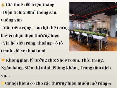  Cho Thuê Sàn Thương Mại   Trung Tâm Hà Đông  0