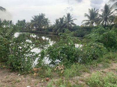 Bán 2 miếng đất mặt đường Phạm Thái Bường, Phước Khánh, Nhơn Trạch, ĐN. Mua bán Đất tại Huyện Nhơn T 6
