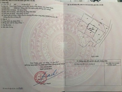 Đất nền siêu rộng tại an hải, ninh phước, ninh thuận đang chờ chủ mới. 4