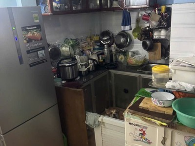 Giảm 200tr  nhà shr 2 tầng nở hậu 60m2   bùi quang là gò vấp s 3