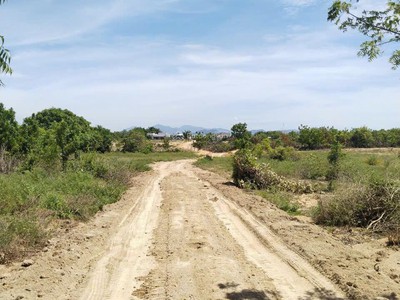 Đất nền siêu rộng tại an hải, ninh phước, ninh thuận đang chờ chủ mới. 2