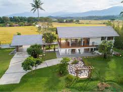 Đất nền siêu rộng tại an hải, ninh phước, ninh thuận đang chờ chủ mới. 0