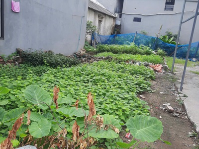 Siêu hot - đất vị trí đẹp tại đa tốn - gia lâm - hà nội 0