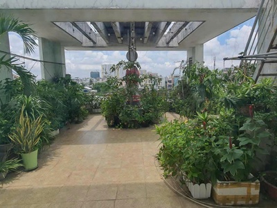 Bán nhà mặt tiền an dương vương - ngay lý chiêu hoàng, q6, 6,5x26m, 4 t - 6pn, 22 tỷ. 1