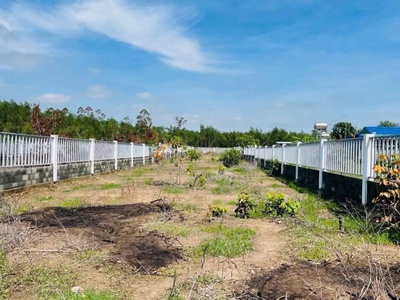 Chủ cần bán 1000mv phước hội long đát bà rịa vũng tàu -hcm 1
