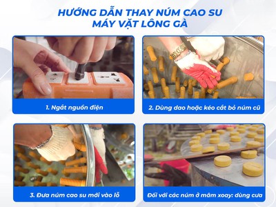 Núm cao su máy vặt lông gà vịt ngan ngỗng các loại cho đại lý ạ 1