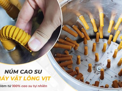 Núm cao su máy vặt lông gà số lượng lớn 0