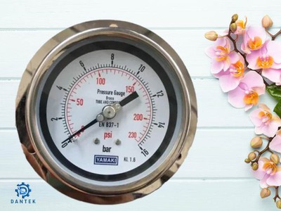 Đồng Hồ Áp Suất Yamaki 0-16 Bar Chân Sau   Lựa Chọn Tin Cậy Cho Hệ Thống Công Nghiệp 0