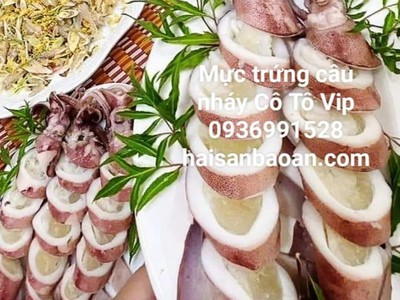 Báo giá mực trứng câu bổ dưỡng giá tốt 0