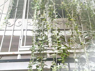 Bán nhà hiệp bình chánh gần phạm văn đồng xe hơi đỗ cửa   shr, giá chỉ 3.6 tỷ 1