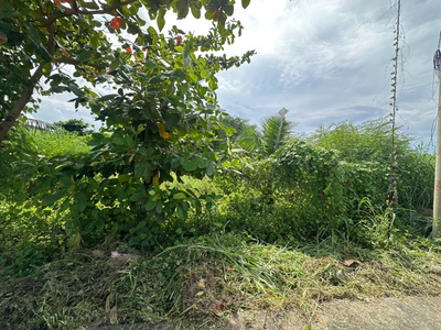 Bán 28m x 35m đất ont hẻm lý thái tổ - tân tiến - lagi giá rẻ 100tr/m ngang 1