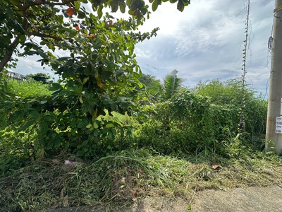 Bán 28m x 35m đất ont hẻm lý thái tổ - tân tiến - lagi giá rẻ 100tr/m ngang 3