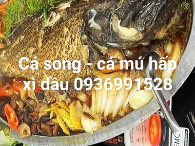 Địa chỉ bán cá song vip ngon tuyển chọn 0