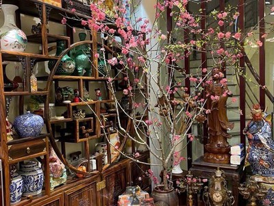 Cơ hội vàng   nhà phố thái hà   cực hiếm - ô tô đỗ cửa   kinh doanh đỉnh cao - 53x5t 3