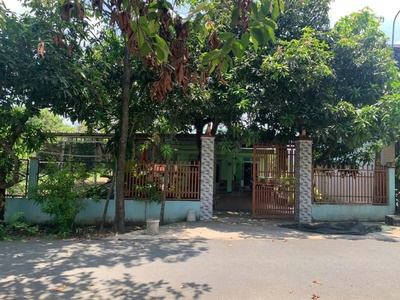 Cần bán đất mặt tiền  đường nhựa tại xã tân thông hội, củ chi, tp hcm 0