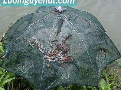 Lồng bát quái bẫy tôm cá 2
