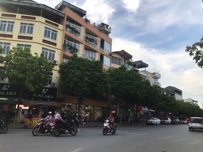 Siêu hiếm phân lô ô tô tải tránh - kinh doanh sầm uất 50m2 hơn 6 tỷ. 1