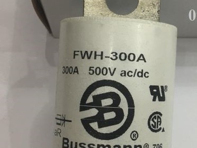 Cầu chì bussmann FWH-300 0