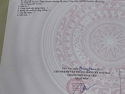 Bán đất mặt đường Đầm Vạc, Đống Đa, Vĩnh Yên, Vĩnh Phúc. DT 61m2 giá chỉ 3.15 tỷ 2