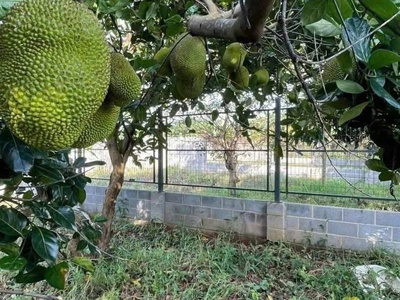 Hót  hót   hót  siêu phẩm đất đẹp- giá hợp lý 2