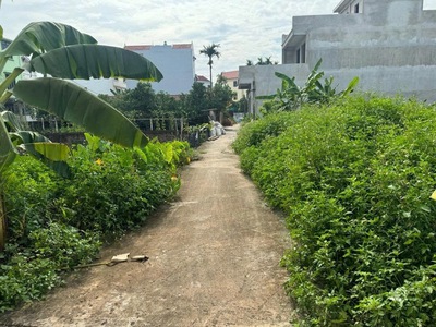 102m2 đất cực đẹp tại song phượng, đan phượng  cũ , hà nội 0