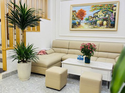 Chủ nhà cần bán nhà mới xây vũ tông phan  - ô tô cách 10 mét - 2 thoáng - tặng nội thất - 40m - 4 3