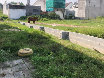 Bán 5m x 20m đất ở hẻm đinh bộ lĩnh, phước hội, lagi chỉ 950tr chính chủ 1