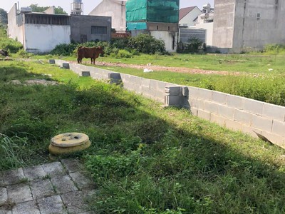 Bán 5m x 20m đất ở hẻm đinh bộ lĩnh, phước hội, lagi chỉ 950tr chính chủ 3