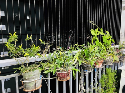 Chính chủ cần bán căn hộ 66,39m2 chung cư Thanh Hà Cienco 5   Full nội thất 3