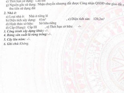 19 an trung đông 6 1