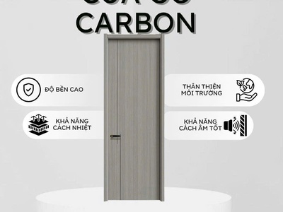 Cửa gỗ carbon 1