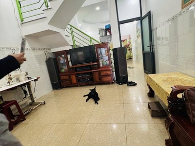  siêu phẩm bđs vĩnh lộc b : nhà hẻm ô tô 100m2 - lời khủng cho nhà đầu tư   an cư lâu dài    3