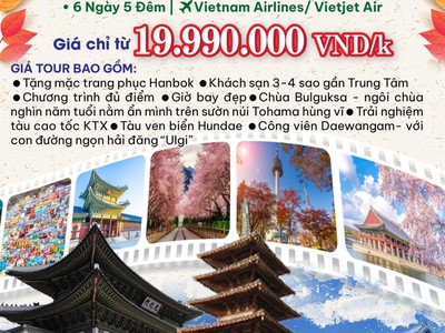 Tour Hàn Quốc mùa thu 2025 0