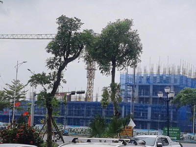 Chính chủ bán đất cự khê thanh oai, ngay khu đô thị thanh hà, 81m2. giá 10 tỷ 0
