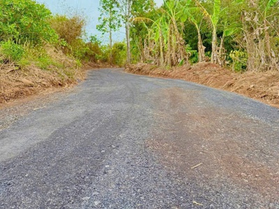 Hòa phú- buôn ma thuột- đắk lắk dt hơn 5 sào view sông serepok xinh đẹp đất sẵn cà phê và sầu chỉ 3