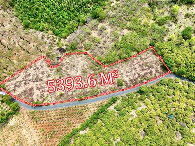 Hòa phú- buôn ma thuột- đắk lắk dt hơn 5 sào view sông serepok xinh đẹp đất sẵn cà phê và sầu chỉ 0