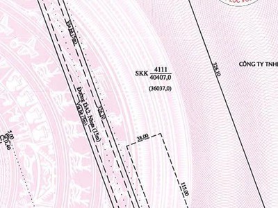 Bán đất Và Nhà Xưởng Diện Tích 161.628 M2 KCN Mỹ Phước, Bình Dương 1