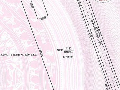 Bán đất Và Nhà Xưởng Diện Tích 161.628 M2 KCN Mỹ Phước, Bình Dương 2