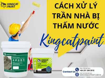 Trần nhà bị thấm nước và cách khắc phục hiệu quả 0