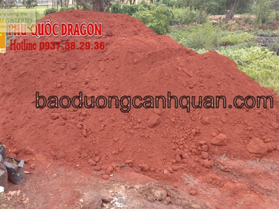 Đất màu trồng cây: Bí quyết cho khu vườn xanh tươi và rực rỡ 0